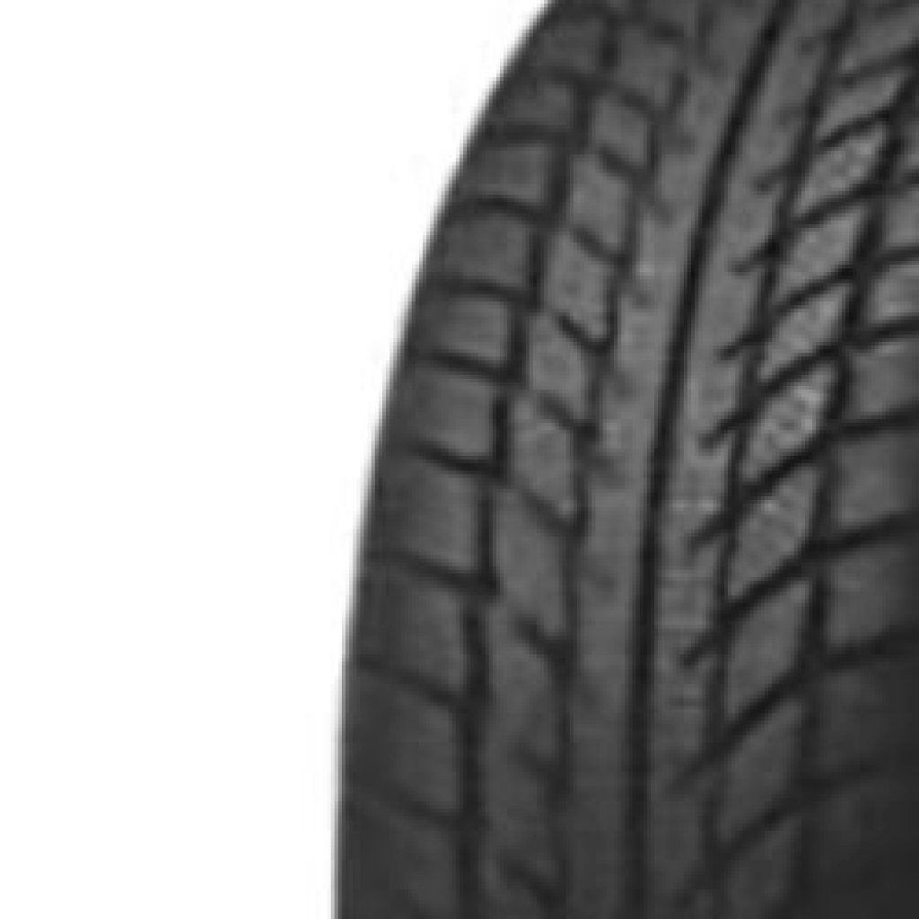 Goodride SW 608 SNOWMASTER 8PR 185/80R14C 102/100Q  TL