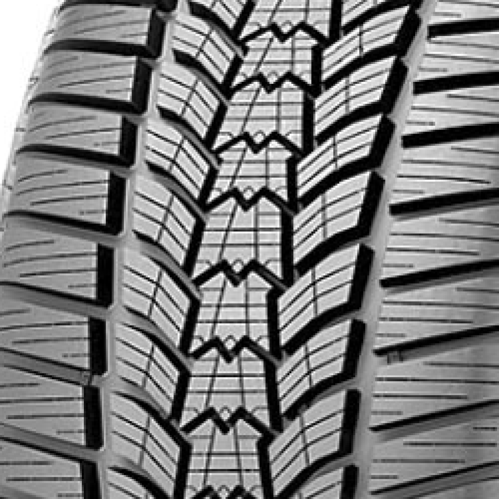 225/45 R17 91H Eskimo HP 2 FP