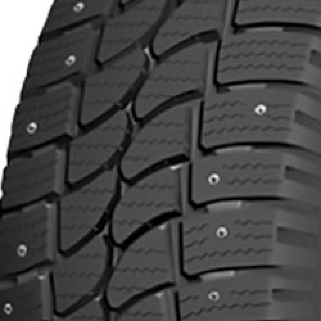 Riken CARGO WINTER 175/65R14C 90/88R  TL