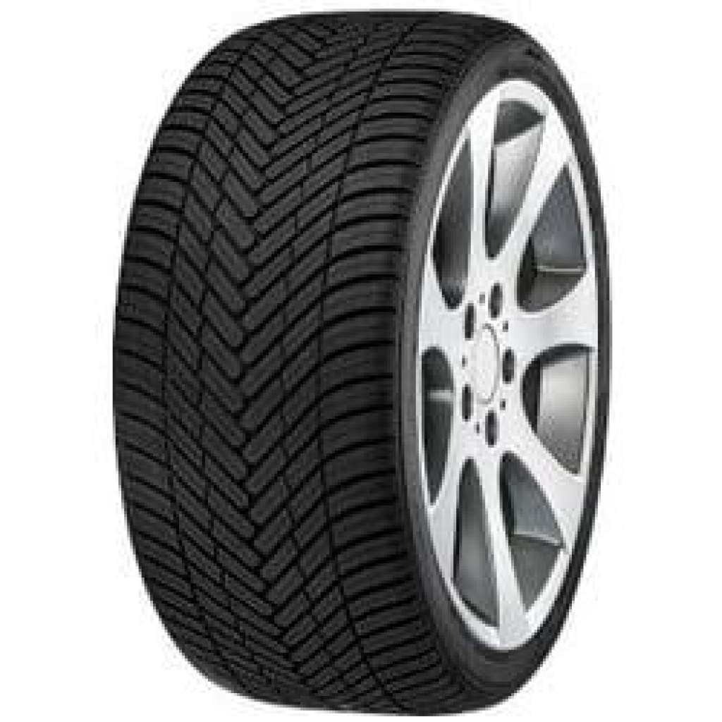 Ganzjahresreifen Fortuna Ecoplus2 4S 205/50 R17 93W