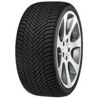 Ganzjahresreifen Fortuna Ecoplus2 4S 205/55 R16 91H