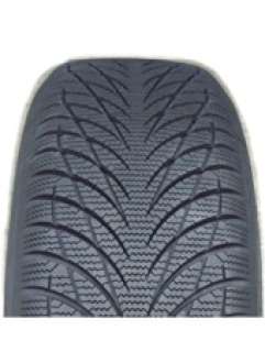 215/70 R15 98H SW602