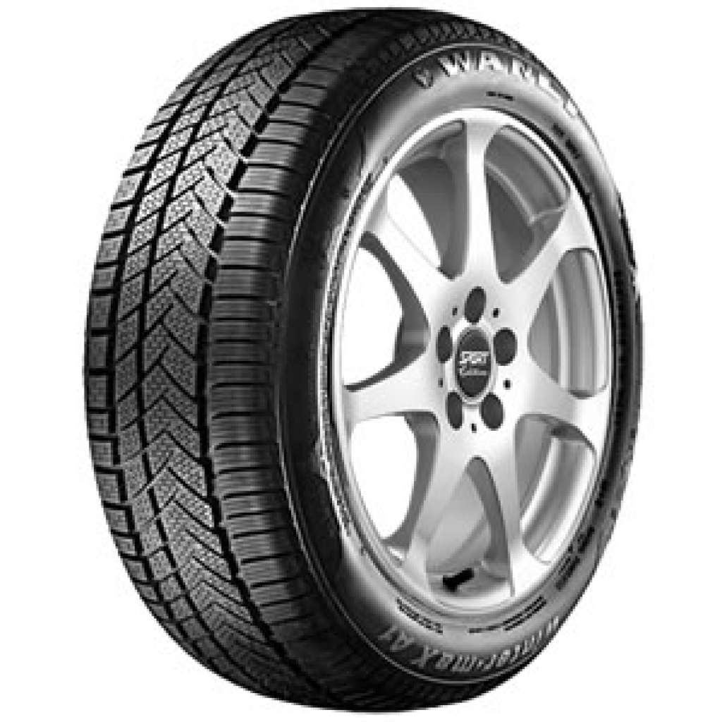255/40 R19 100V SW211 XL