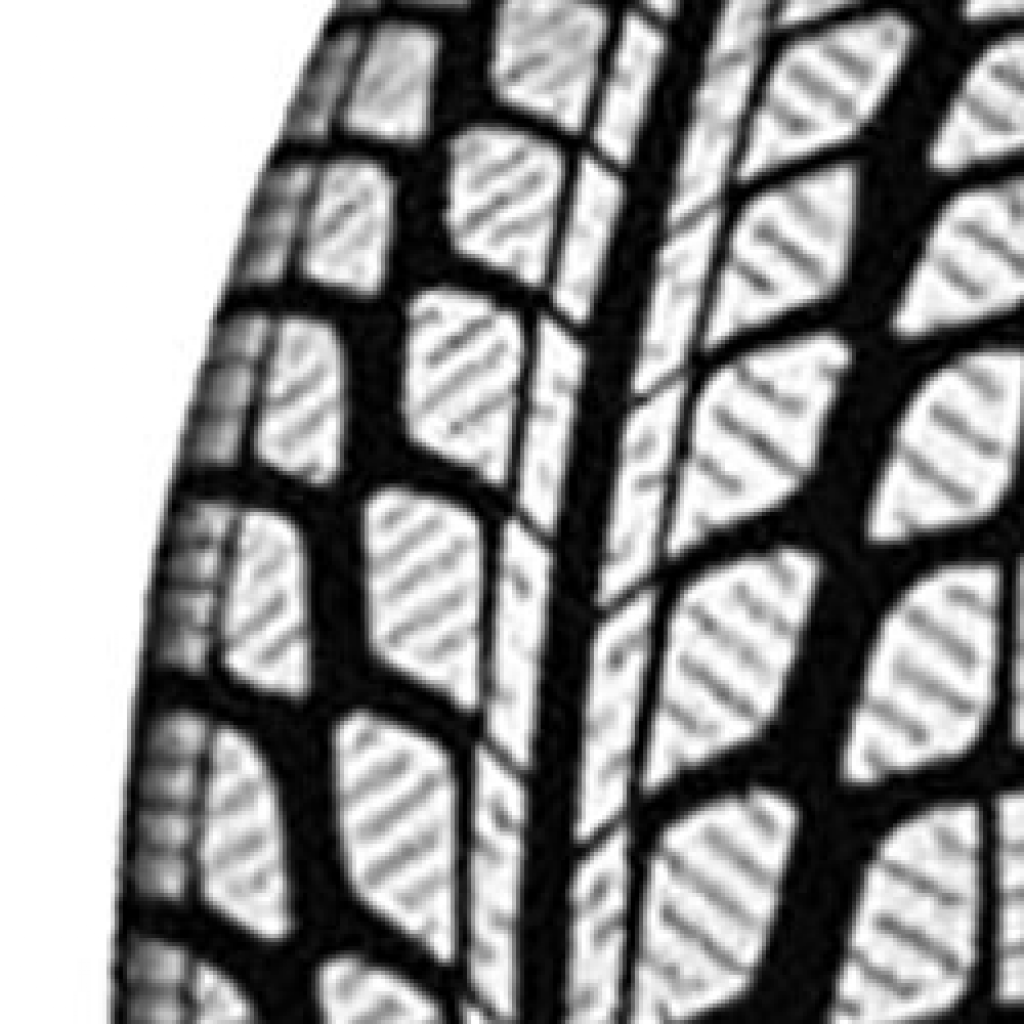 225/60 R17 103V SN 3830 Snowmaster XL