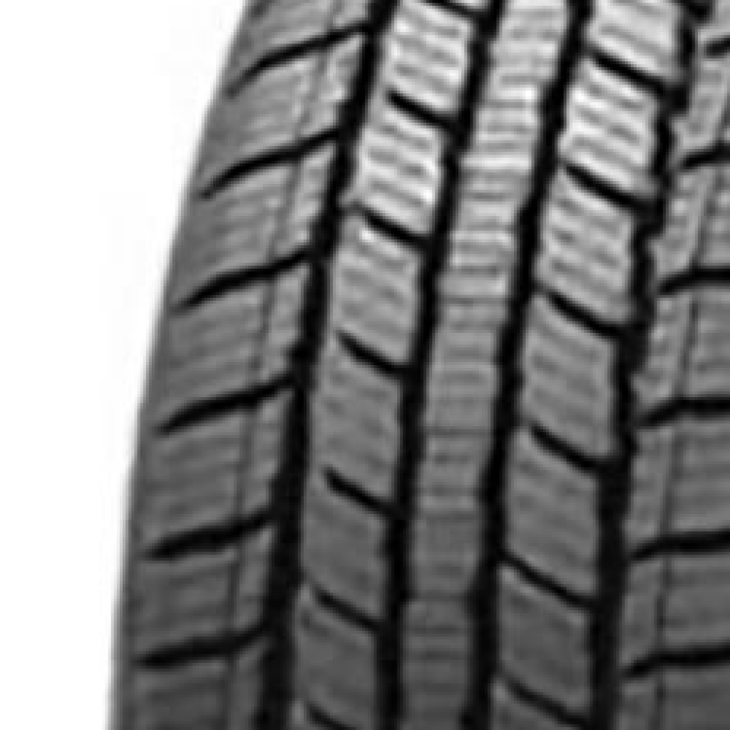 Minerva S 110 M+S 10PR 225/75R16C 121/120R  TL