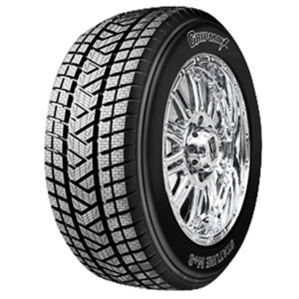 215/55 R18 99V Stature M/S XL