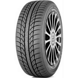 225/65 R17 102H Champiro Winterpro HP 3PMSF