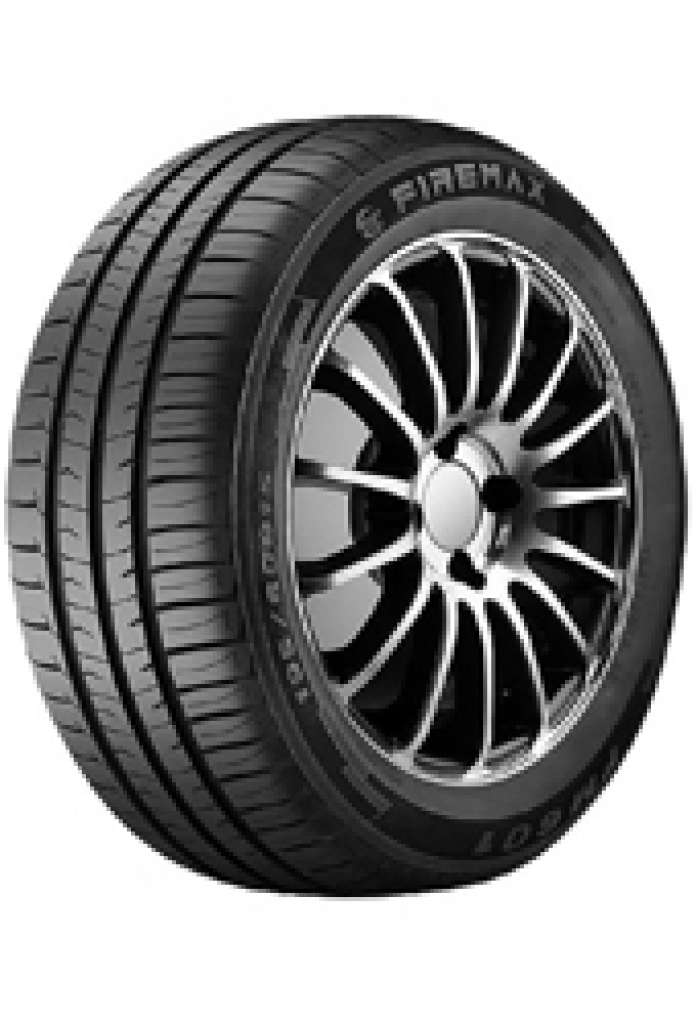 195/65 R15 95T FM601 XL