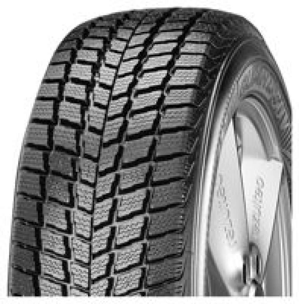 255/50 R19 107V Winguard SUV XL