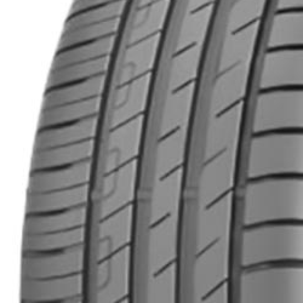 205/55 R16 91W EfficientGrip Performance AO1