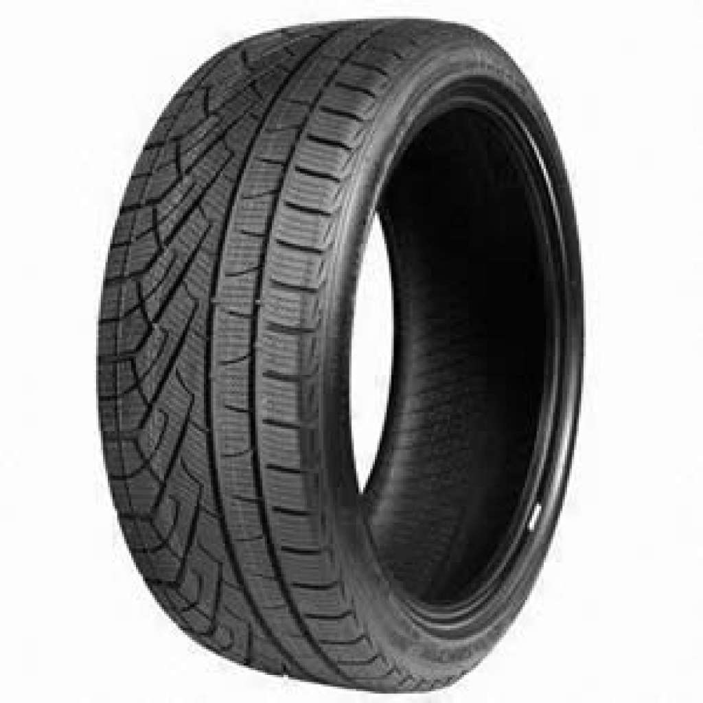 205/55 R16 91V EcoSnow