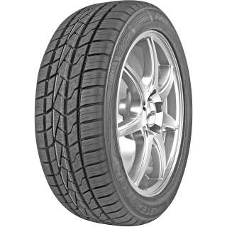 Mastersteel ALL Weather 225/45R17 94V XL
