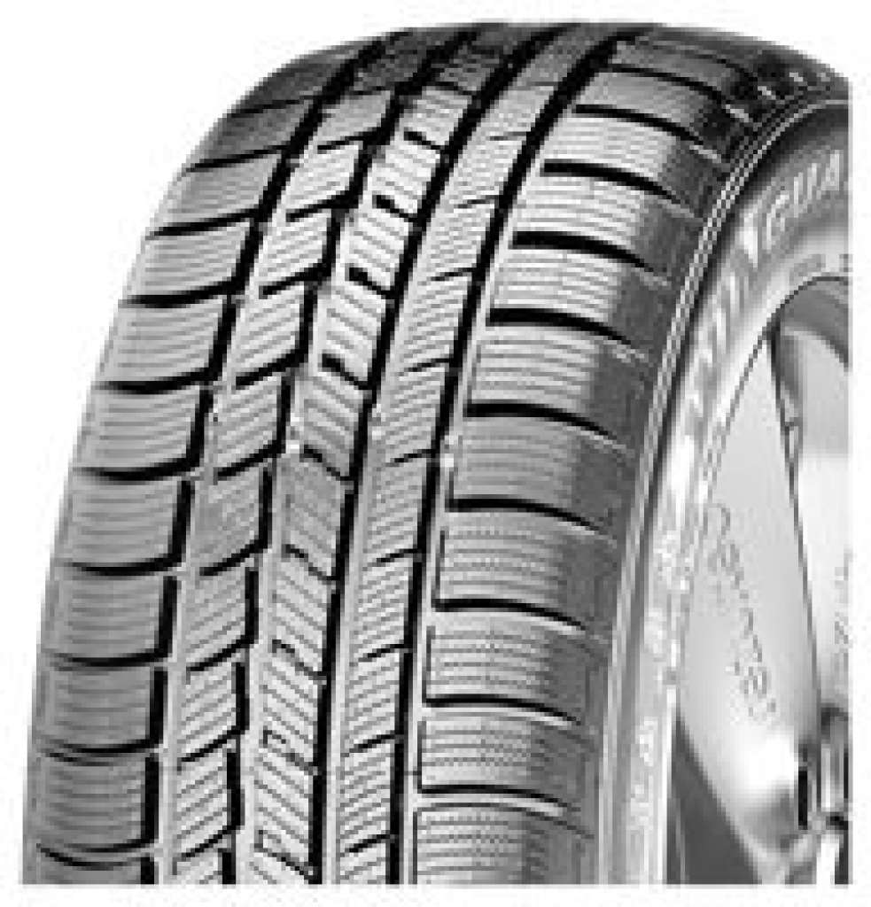 255/40 R19 100V Winguard-Sport M+S XL