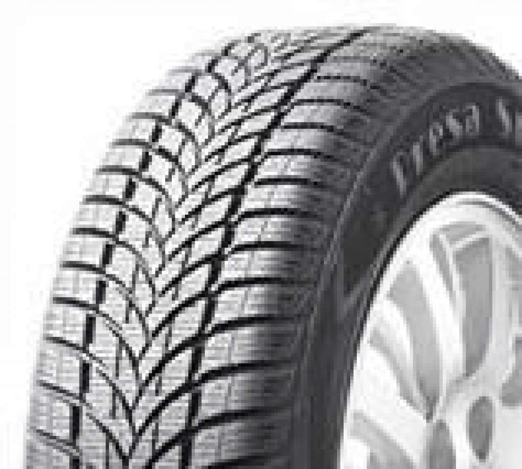 Winterreifen Maxxis MA-PW WinterMaxx 175/80 R14 88T