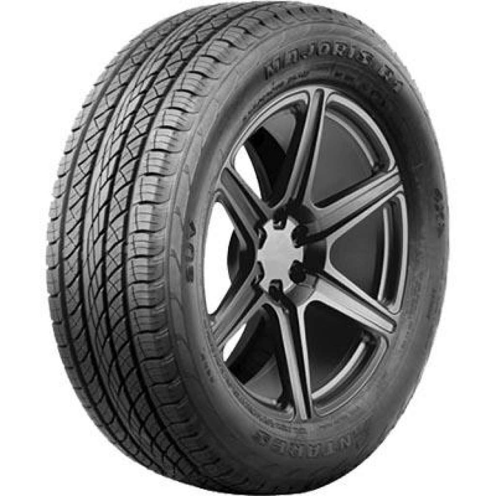 Antares Majoris R1 245/65R17 111H XL