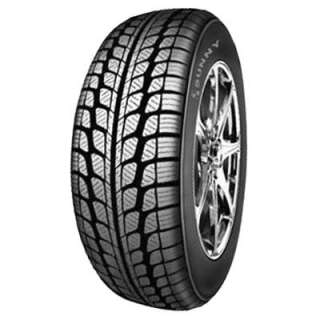 Sunny SN 3830 225/55R19 99V M+S
