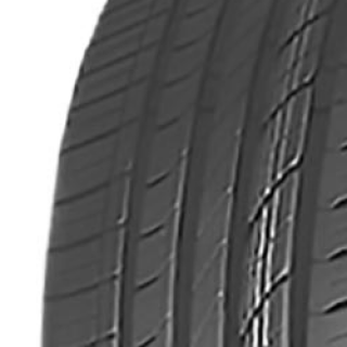 225/45 R19 96W Green Max