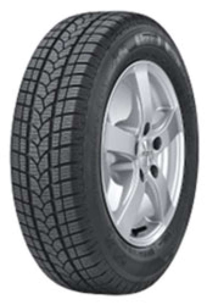 225/55 R16 95H Winter